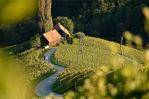 hochzeit steiermark see