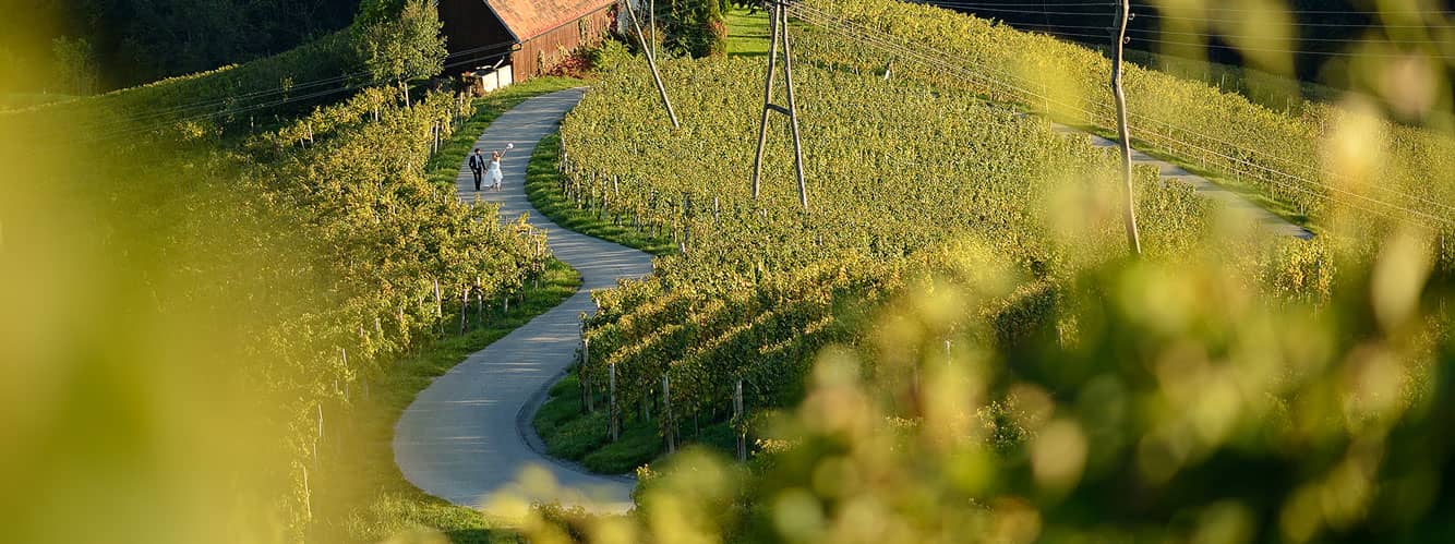 Hochzeitsfoto in der Südsteiermark in der Weinstraße - Herzerlstraße in der Steiermark - Hochzeitsfotograf Steiermark